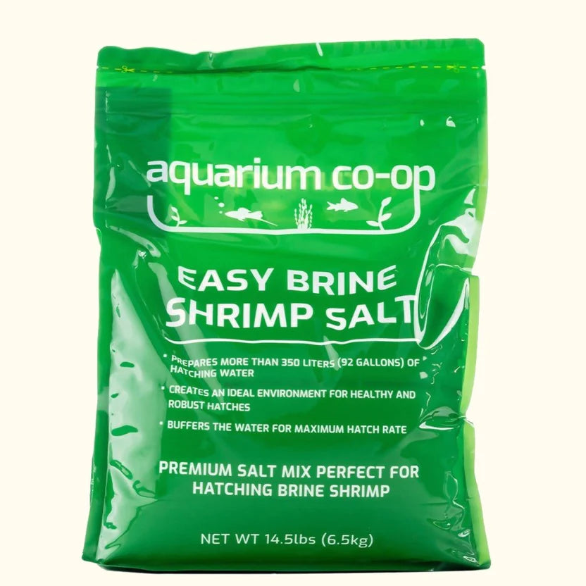 Easy Brine Shrimp Salt